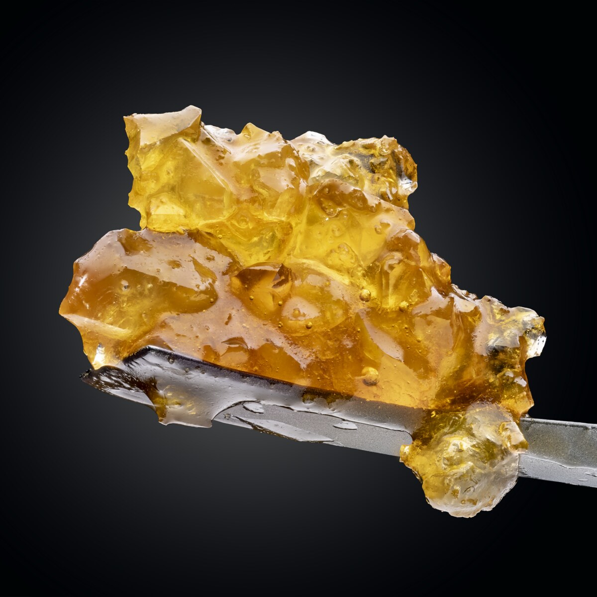 Golden cannabis concentrate displayed on a dab tool